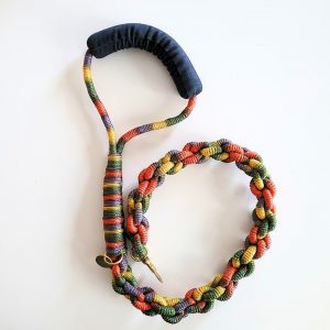 Arete Leash Multicolor