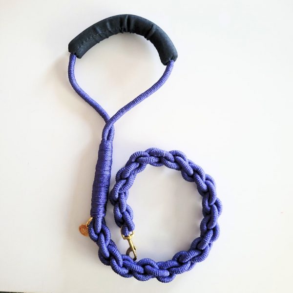 Arete Leash Purple